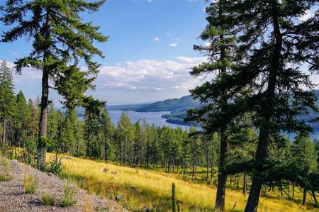 69 Eagle Creek Trail