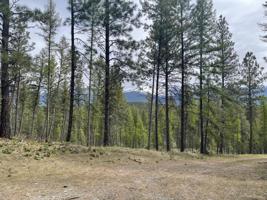 Nhn Pomeroy Trail