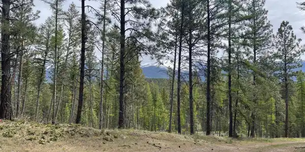 Nhn Pomeroy Trail
