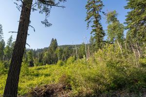 Nhn Mt Hwy 83