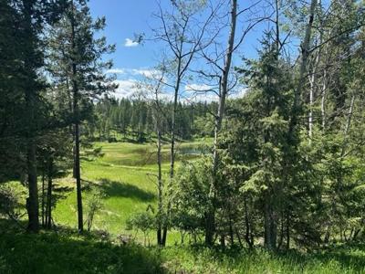135 Tamarack Drive