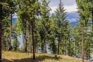Lot 23 Osprey Court