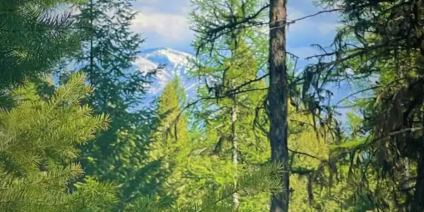 Nhn Pomeroy Trail