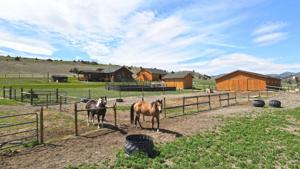 6375 Favorite Gulch Road