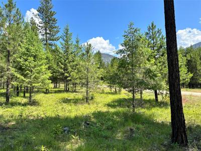 NHN Graves Creek Loop