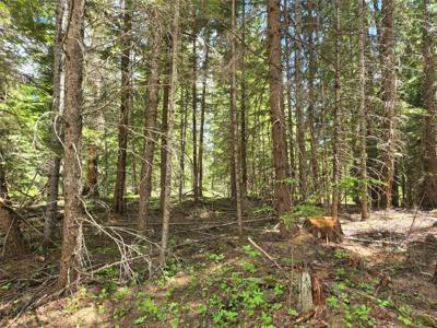 Lot A-4 Elk Heights Lane