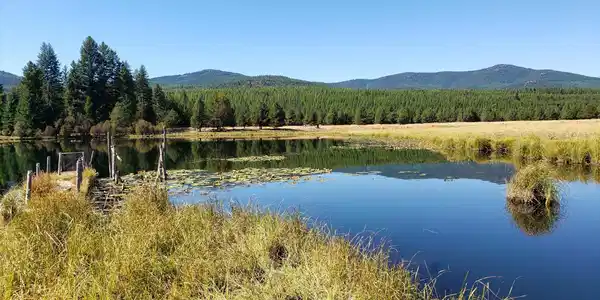 15337 Wolf Creek Road