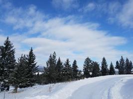 Lot 6b Abayance Loop