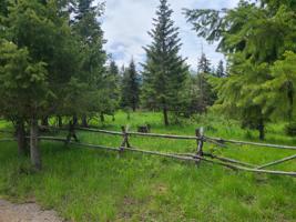 Nhn Blue Slide Road