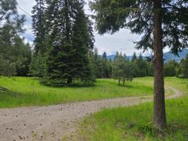 Nhn Blue Slide Road