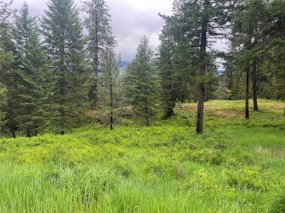 Lot 4 Mossy Oak