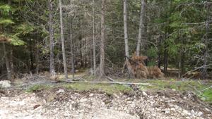 Lot 4 Kyrans Lane