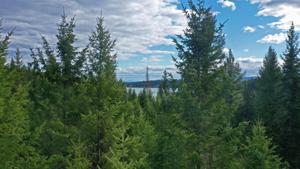 Nhn Sinclair Creek Road