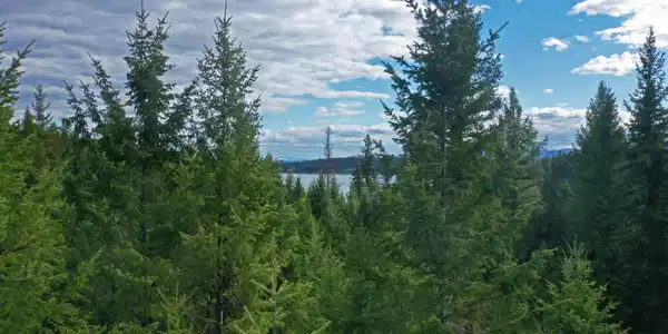 Nhn Sinclair Creek Road