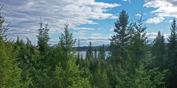 Nhn Sinclair Creek Road