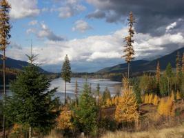 16941 Bull Lake Road