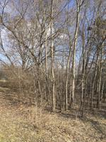 8408 Ramble Road