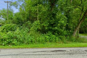 LOT 4 White Oaks Road
