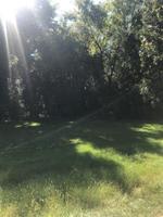 1231 Candlewick Drive