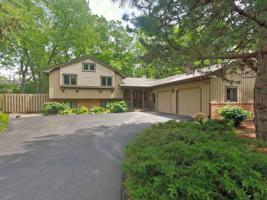 256 East Lane