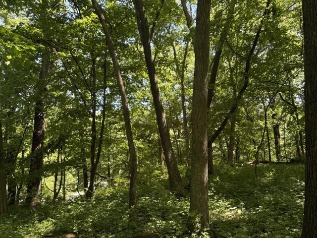 Image 2 Image 2