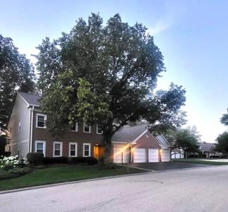 1600 Newburn Court