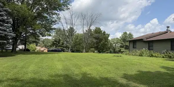 Image 4 Image 4