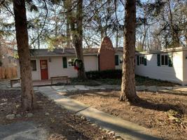 25294 White Owl Lane