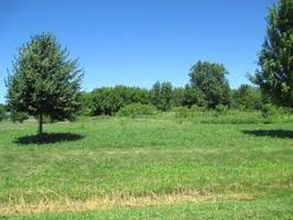 23766 W Reindeer Trail