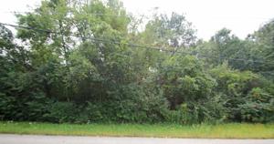 0 W Chris Larkin Road
