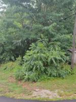 38010 N Harold Place