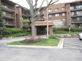 101 Old Oak Drive