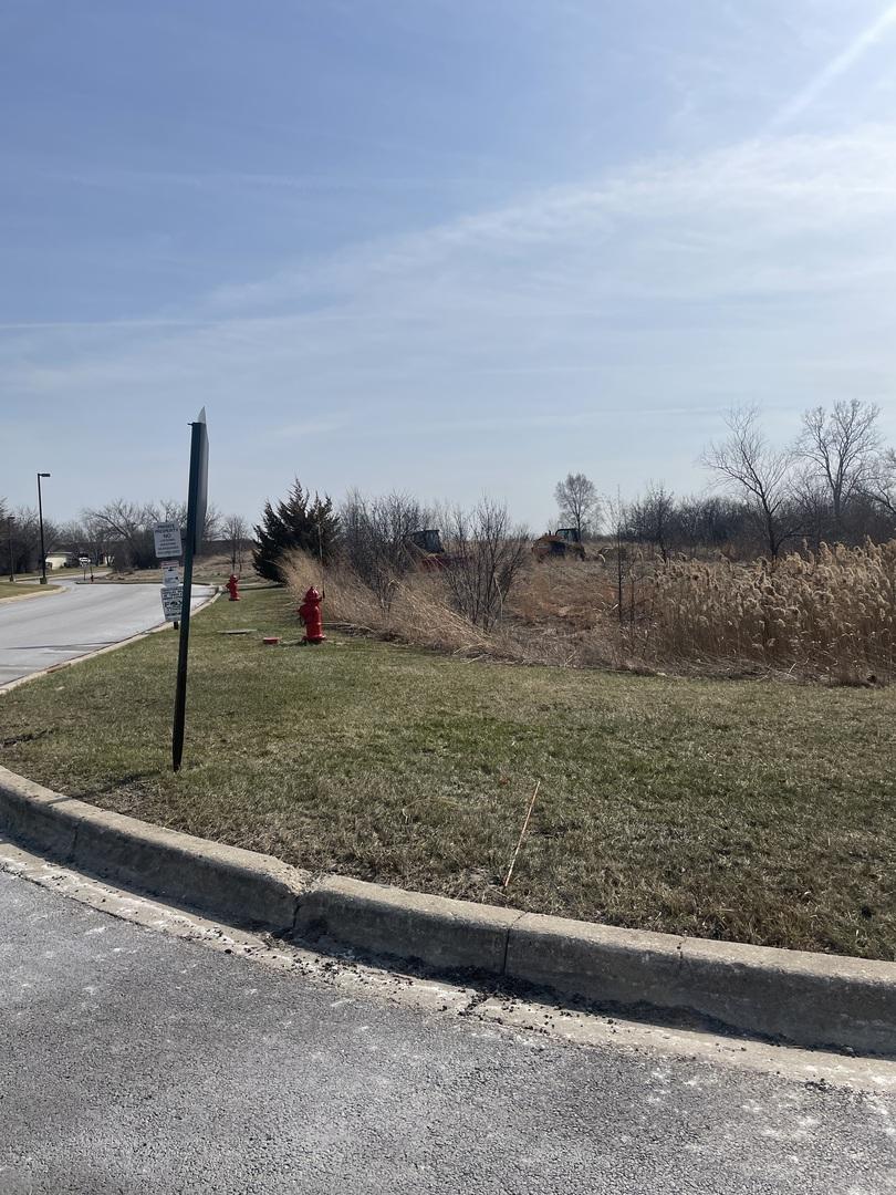 Image 1 Image 1