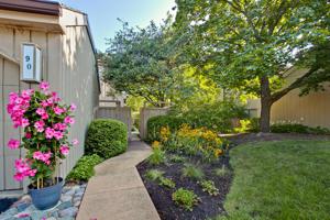 90 W Foxwood Lane