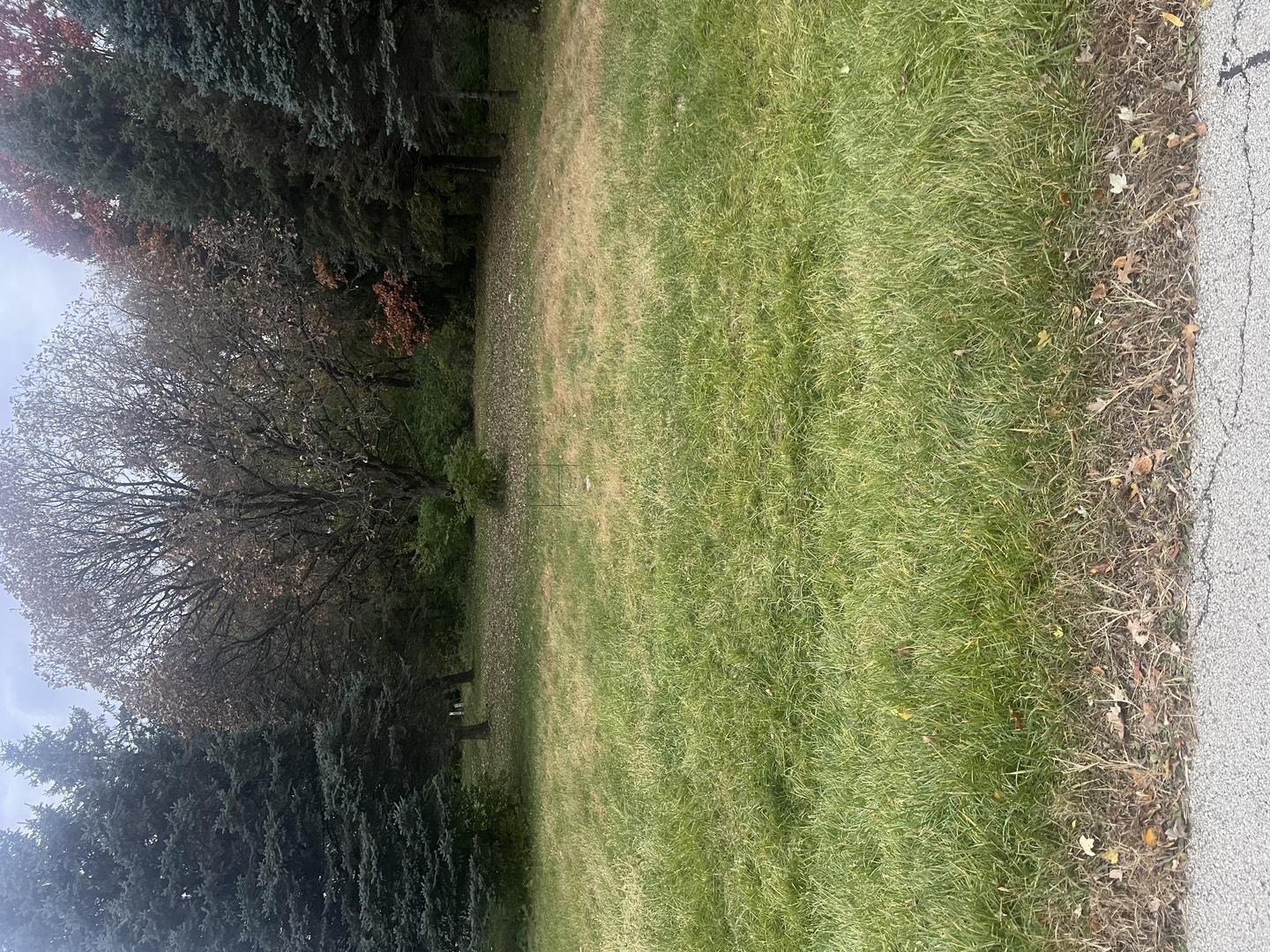 Image 2 Image 2