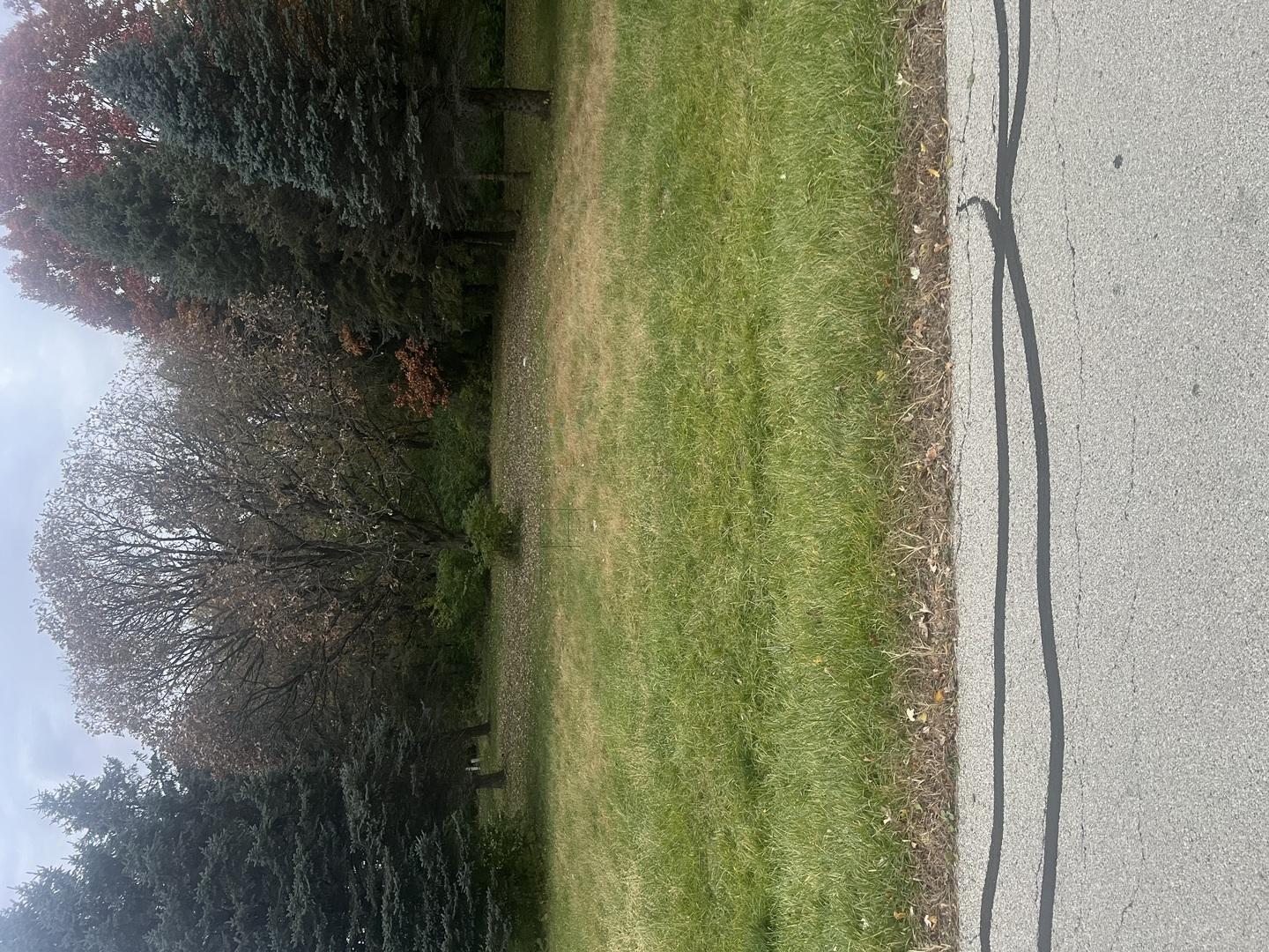 Image 3 Image 3