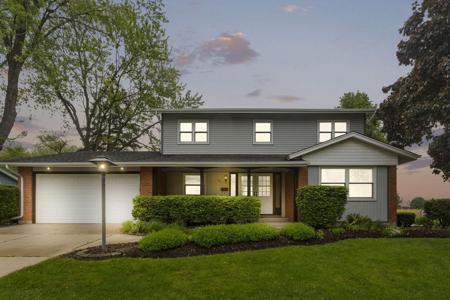 699 Chelmsford Lane