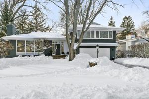 994 Cherry Tree Lane