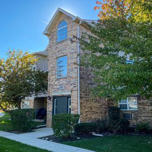 1545 W Crystal Rock Court
