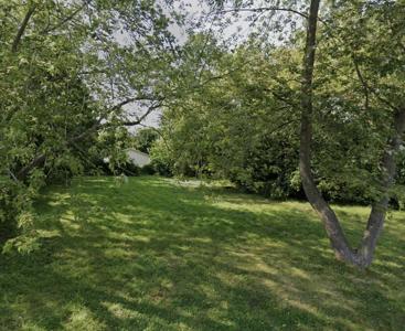 35656 N David Court