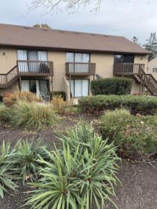 29 Jamaica Colony