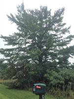 Lot 81 Woodland Drive