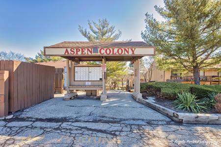 61 Aspen Colony