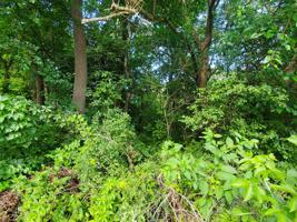 Lot 14 North Shore Drive