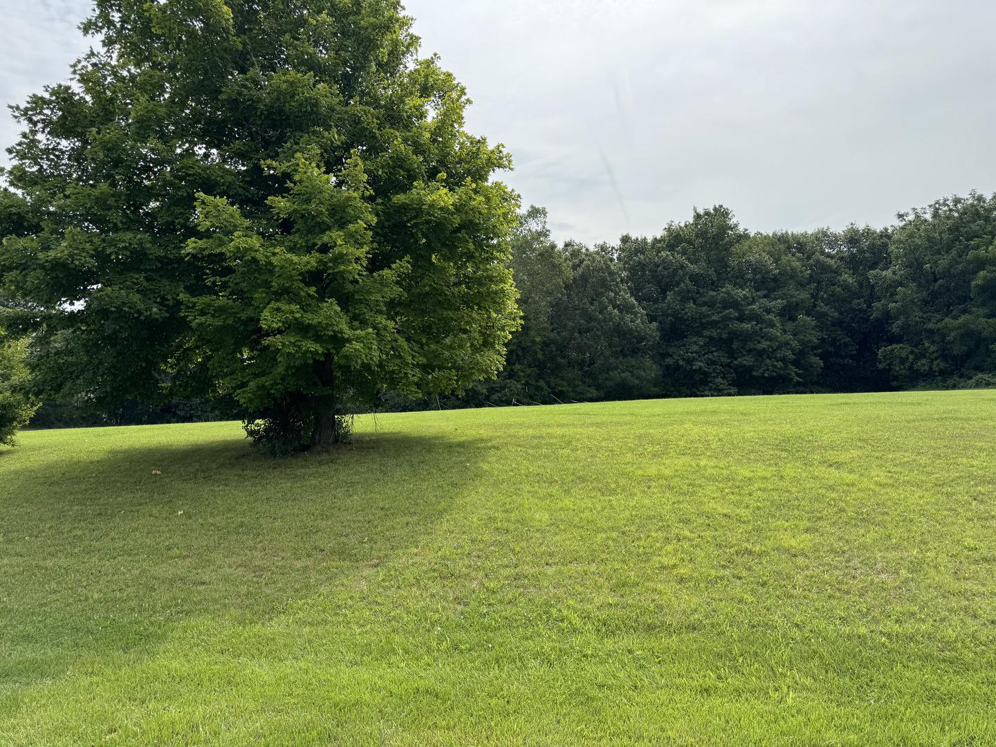 Image 2 Image 2