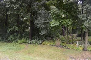 Lot 9 Shade Tree Circle