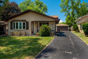 246 Hickory Lane