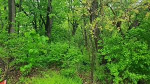 Lot 14 North Shore Drive