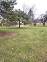 Lot 48 N Lake Avenue N