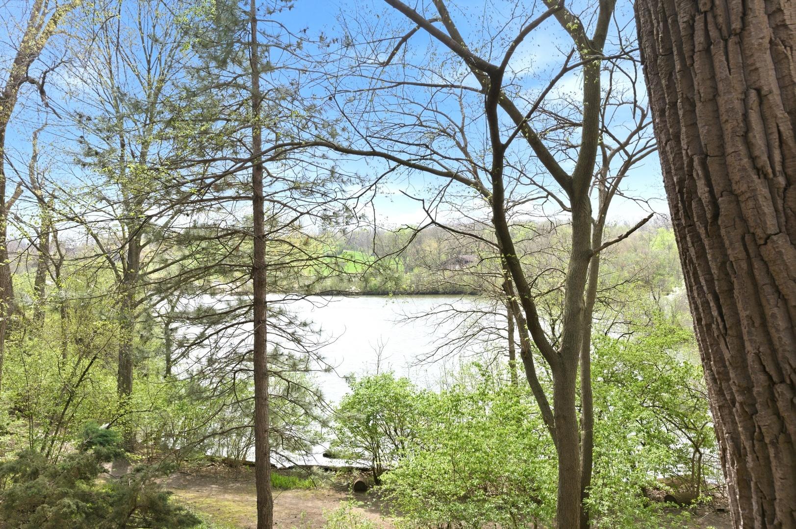 Image 4 Image 4